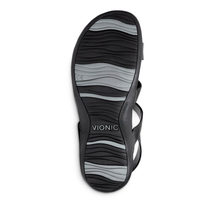 VIONIC AMBER