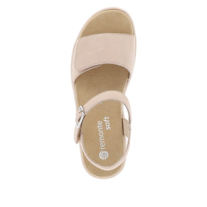 REMONTE D1N50 SALLIE