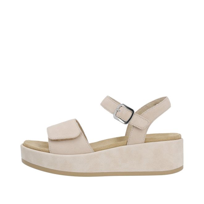 REMONTE D1N50 SALLIE